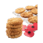 Coconut Biscuit